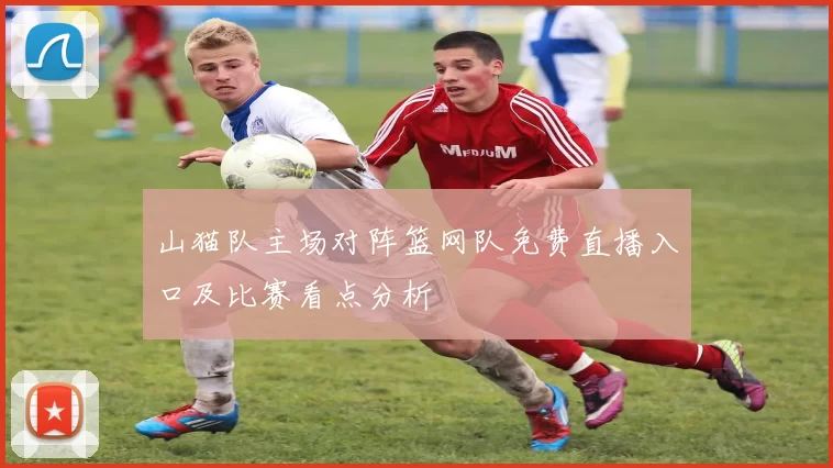 山猫队主场对阵篮网队免费直播入口及比赛看点分析