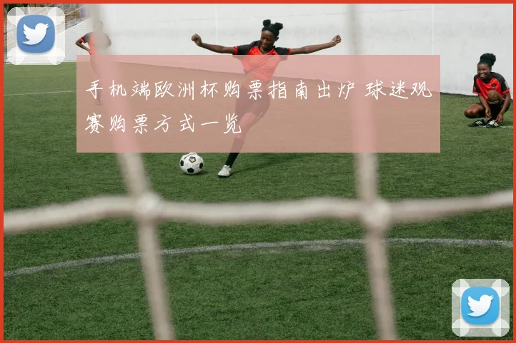 手机端欧洲杯购票指南出炉 球迷观赛购票方式一览