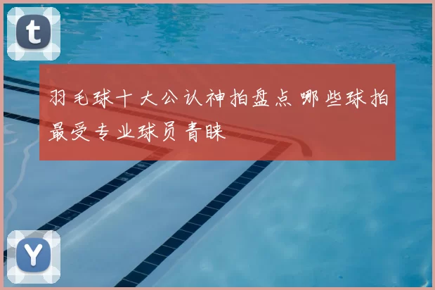 羽毛球十大公认神拍盘点 哪些球拍最受专业球员青睐
