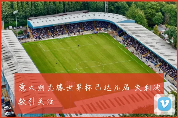 意大利无缘世界杯已达几届 失利次数引关注
