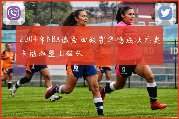 2004年NBA选秀回顾霍华德成状元奥卡福加盟山猫队