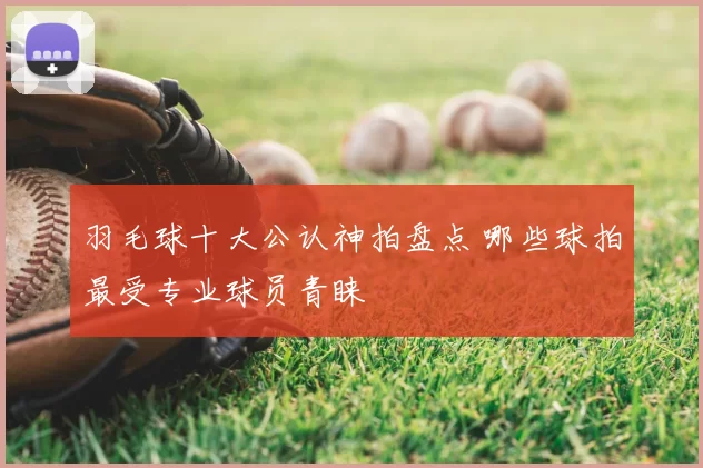 羽毛球十大公认神拍盘点 哪些球拍最受专业球员青睐