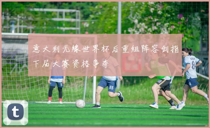 意大利无缘世界杯后重组阵容剑指下届大赛资格争夺